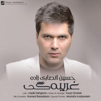Hossein Ansarizadeh - Gharibegi