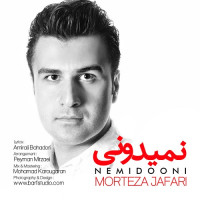 Morteza Jafari - Nemiduni