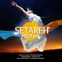 Pedram Nikaeen - Setareh