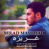 Milad Mashhadi - Gharizeh