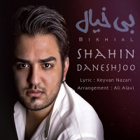 Shahin Daneshjoo - Bikhial