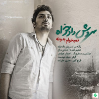 Soroush Dadkhah - Nemikham Bedoone