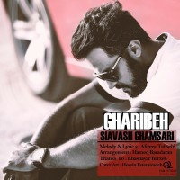 Siavash Ghamsari - Gharibe