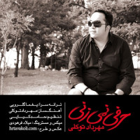 Mehrdad Tavakoli - Harfi  Nemizani