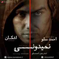 Ahmadreza Shahriyari Ft Ashkan - Nemidooni