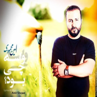 Amin Mahmoudi - Vase Chi Bood
