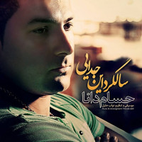 Hesam Dana - Salgarde In Jodaei