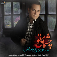 Saeed Zandmanesh - Cheshmaye To
