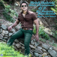 Mehdi Shokoohi - Khiale Raftan