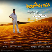 Saeid Poursaeid - Andoohe Shirin