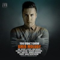 Amir Moludy - Nemidoonesti