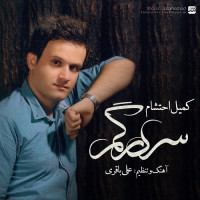 Komeil Ehtesham - Sargardoon