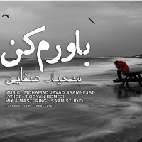 Saeed Safaei - Bavaram Kon