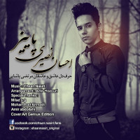 Ehsan Nasiri - Paeez