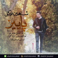 Shahin Tavakol - Paeiz