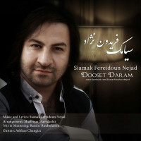 Siamak Fereidoun Nejad - Dooset Daram