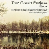 The Arash Project - Bleak