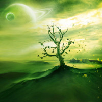 Barma Bagheri - Ba To Khoobe