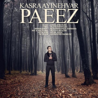 Kasra Ayinehvar - Paeez