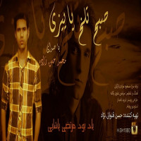 Mohammad Hasanzadeh - Sobh Talkhe Paeizi