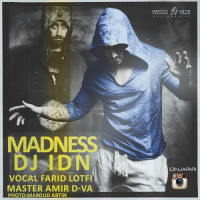 Dj Idn - Madness