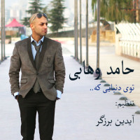 Hamed Vahabi - Too in Donya