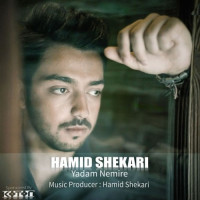 Hamid Shekari - Yadam Nemire