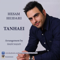 Hesam Heidari - Tanhaei