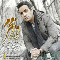 Majid Rostami - Namahram