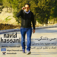 Navid Hasani - Hesse Deltangi