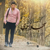 Sajjad Ahmadi - Gonjeshkake Ashi Mashi