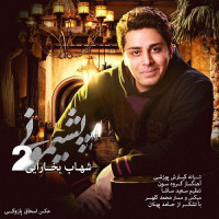 Shahab Bokharaei - Pashimooni 2