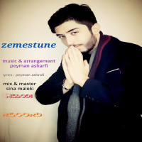 Peyman Ashrafi - Zemestoone