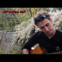 Javad Bagheri - Parvaneh O Atash