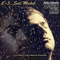 Afshin Avid - Do Se Sali Mishe