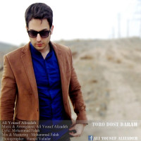 Ali Yousef Alizadeh - Toro Dooset Daram