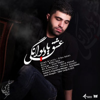 Erfan Salimi - Eshgh Ya Divoonegi