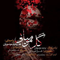 Vahid Mousavian - Gole Mumiyaee