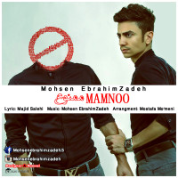 Mohsen Ebrahimzadeh - Mamnoo