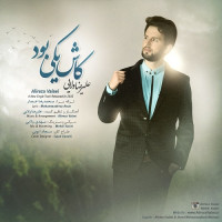 Alireza Valaei - Kash Yeki Bood