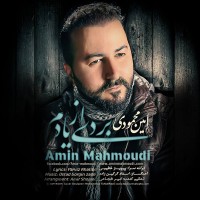 Amin Mahmoudi - Bordi Az Yadam