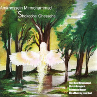 Amir Hossein Mir Mohammad - Shokohe Gheseha
