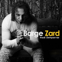 Hadi Dehparvar - Barge Zard