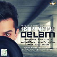 Hasan Parvaneh Var - Delam