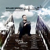 Hossein Hashemzadeh - Delam Sookht