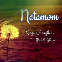 Mehdi Shaya Ft Reza Cheraghian - Natamoom