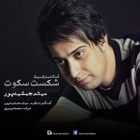 Meysam Jamshidpour - Shekaste Sokoot