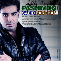 Saeid Parchami - Pashimooni