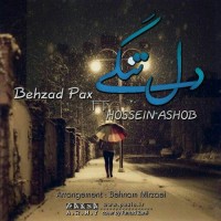Behzad Pax Ft Hossein Ashoob - Deltangi