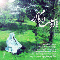 Hamed Taha - Madar